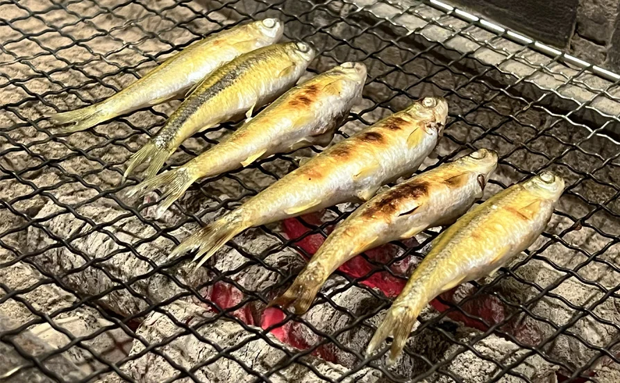 求人メイン