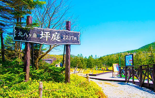 求人メイン