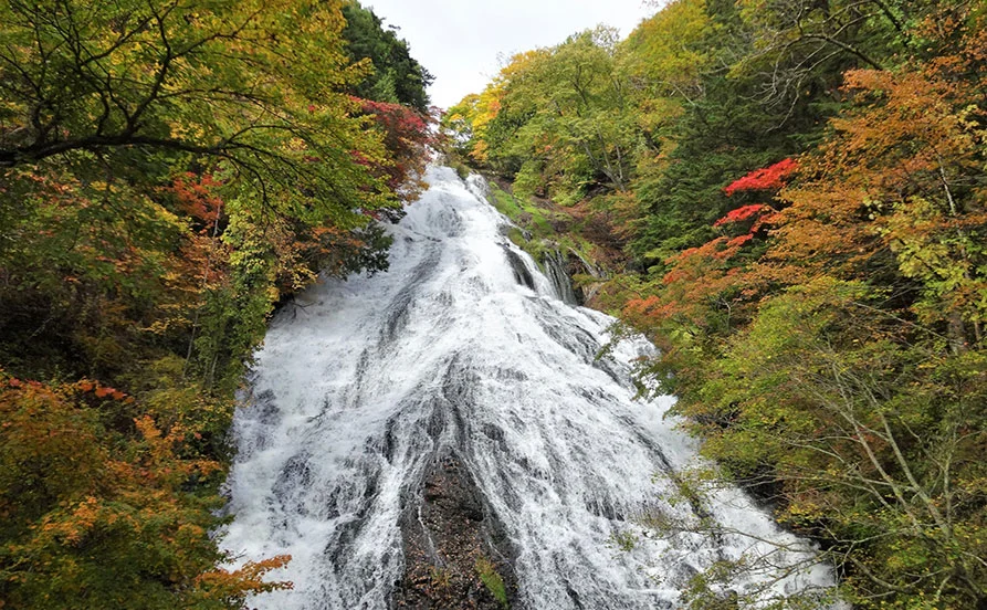 量環境画像（右下の画像）