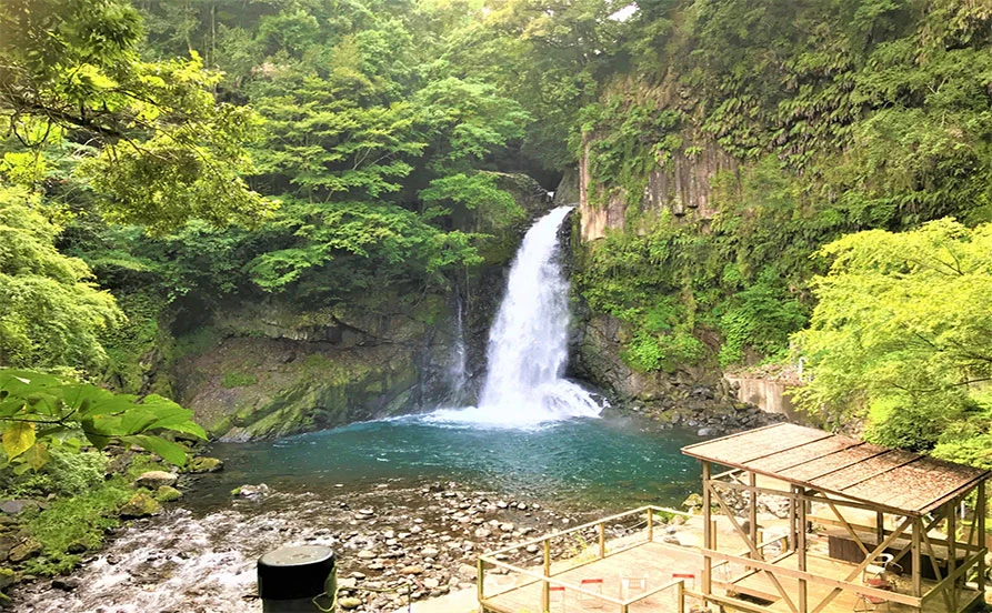 求人メイン