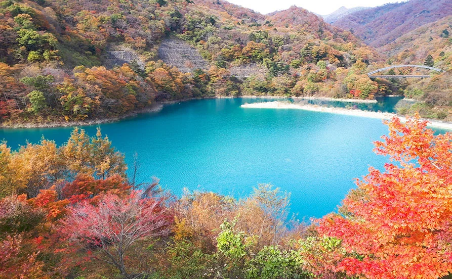 求人メイン