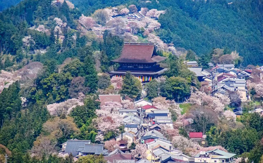 求人メイン