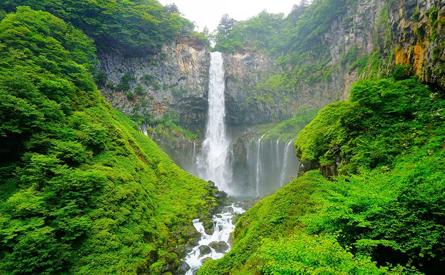 求人メイン