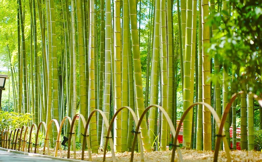 求人メイン