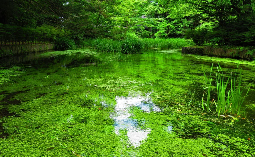 量環境画像（右下の画像）