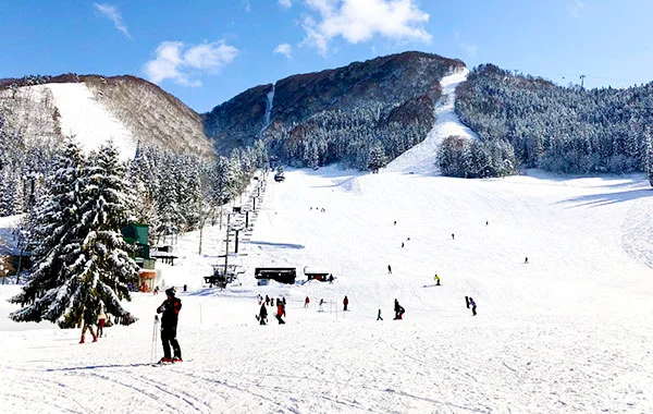 求人メイン