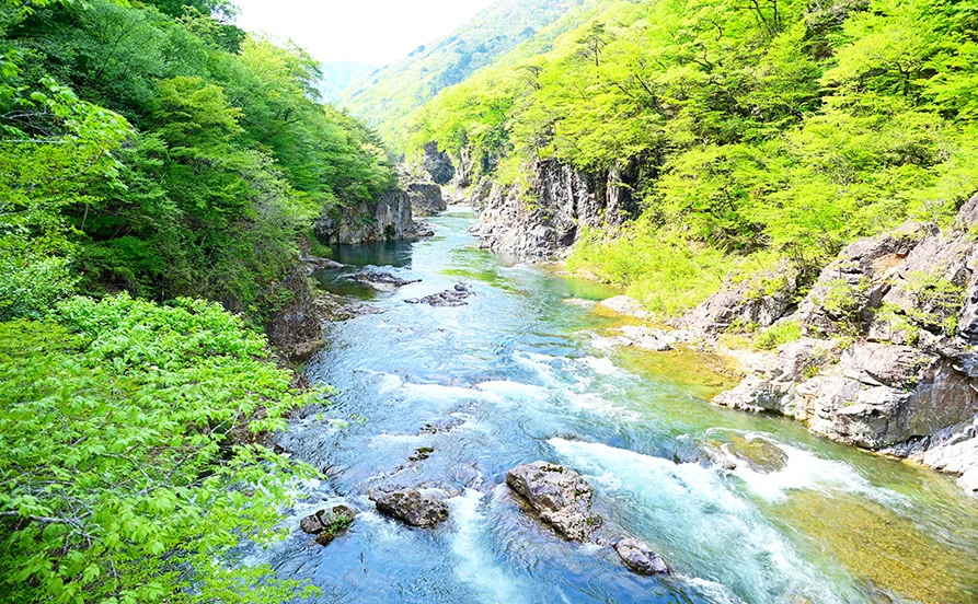 求人メイン