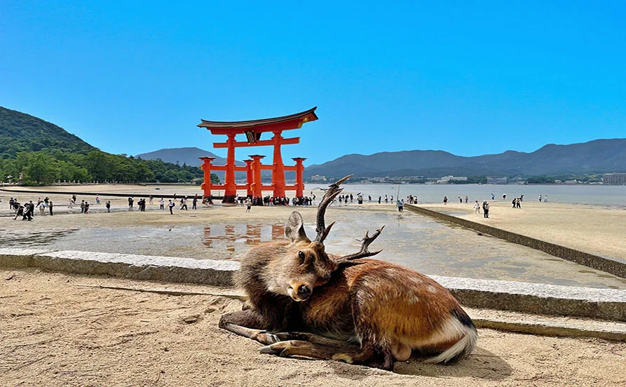 求人メイン