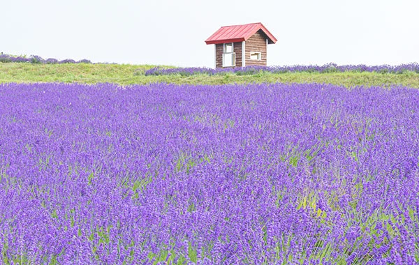 求人メイン