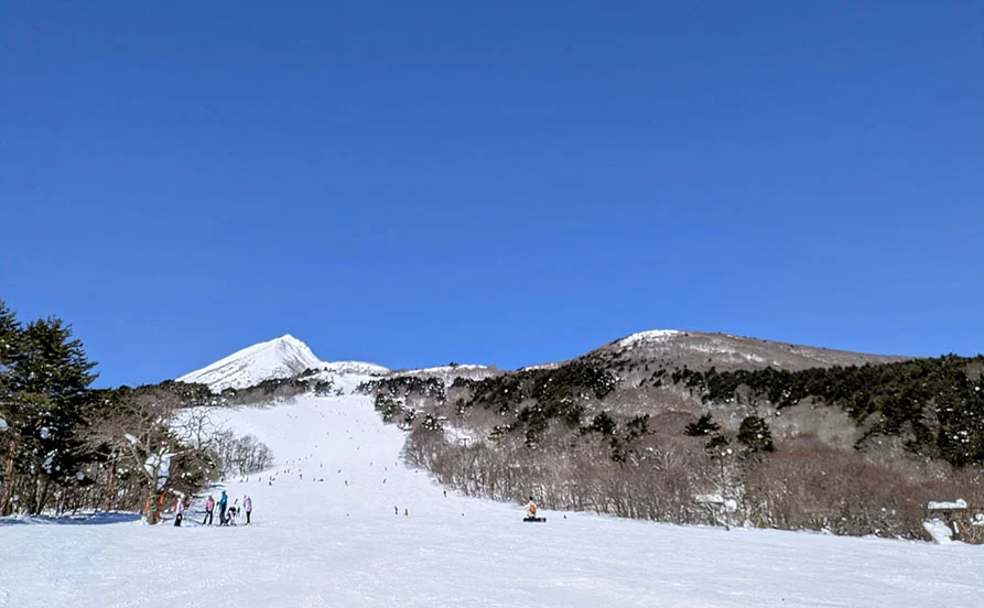 求人メイン