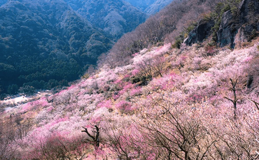 求人メイン