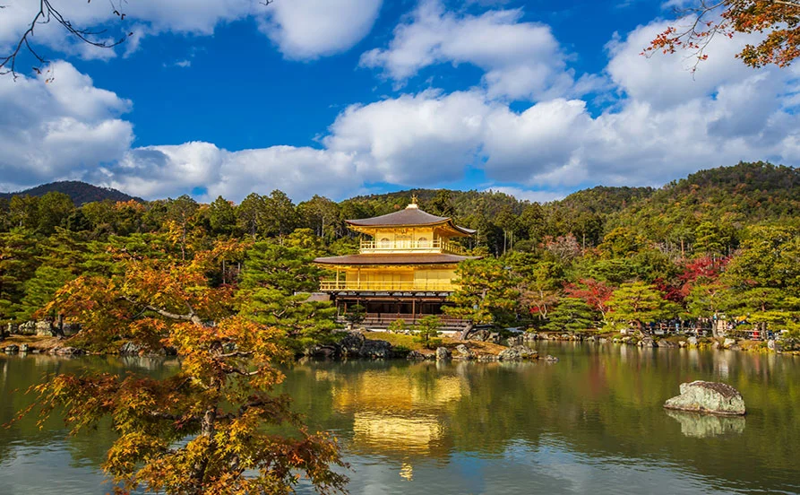 求人メイン