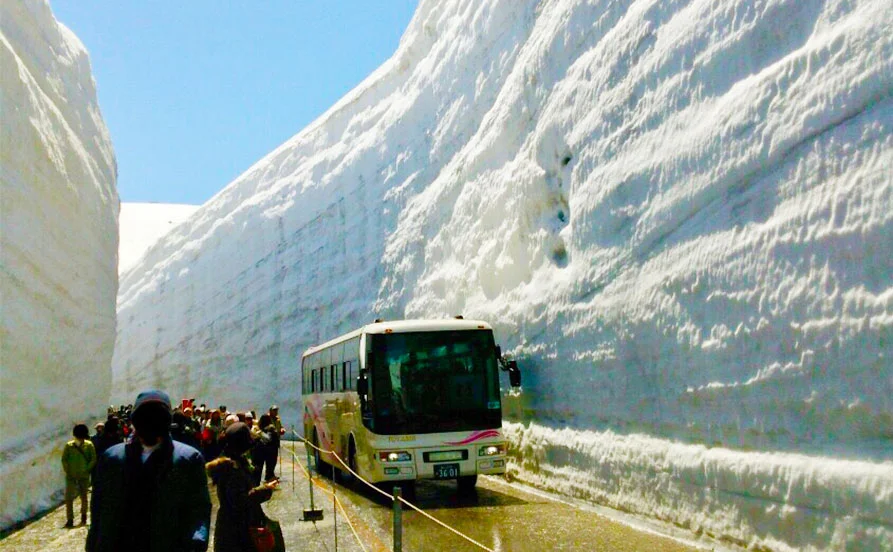 求人メイン