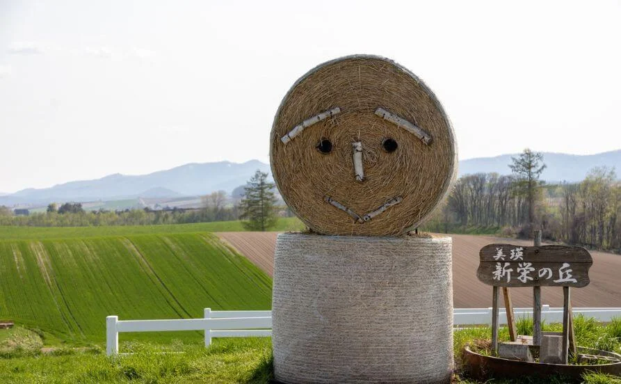 求人メイン