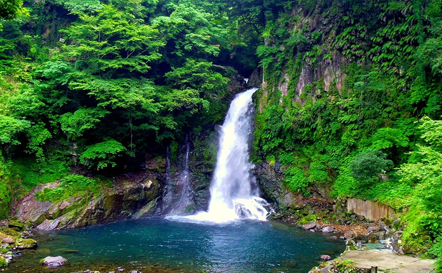 量環境画像（右下の画像）