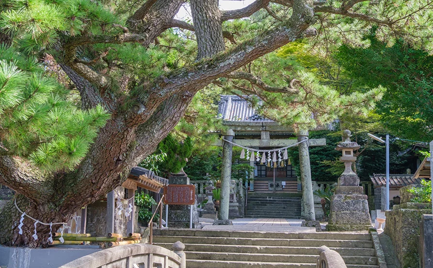 求人メイン
