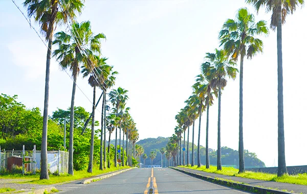 求人メイン