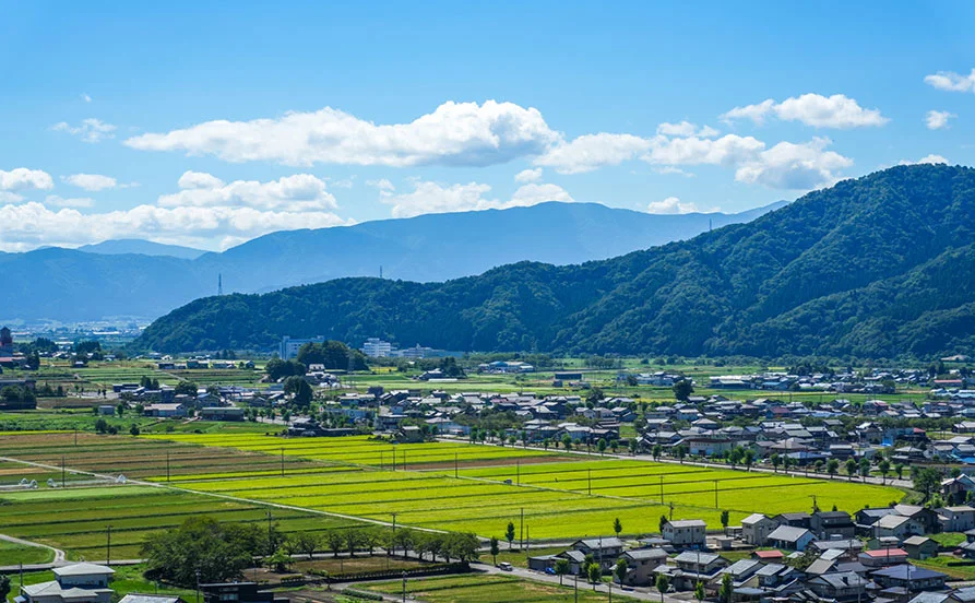 求人メイン