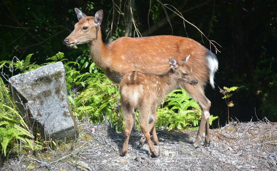 求人メイン