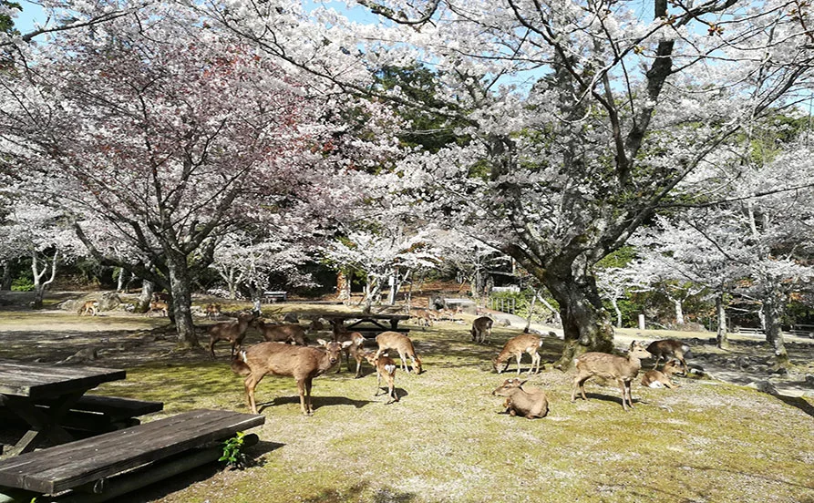 求人メイン