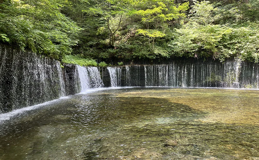求人メイン