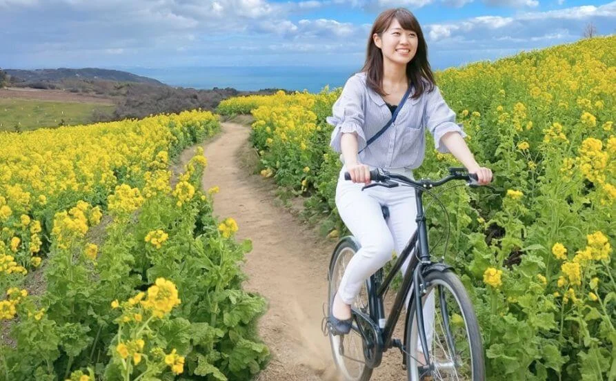 HP用スライダー画像1(左半分)