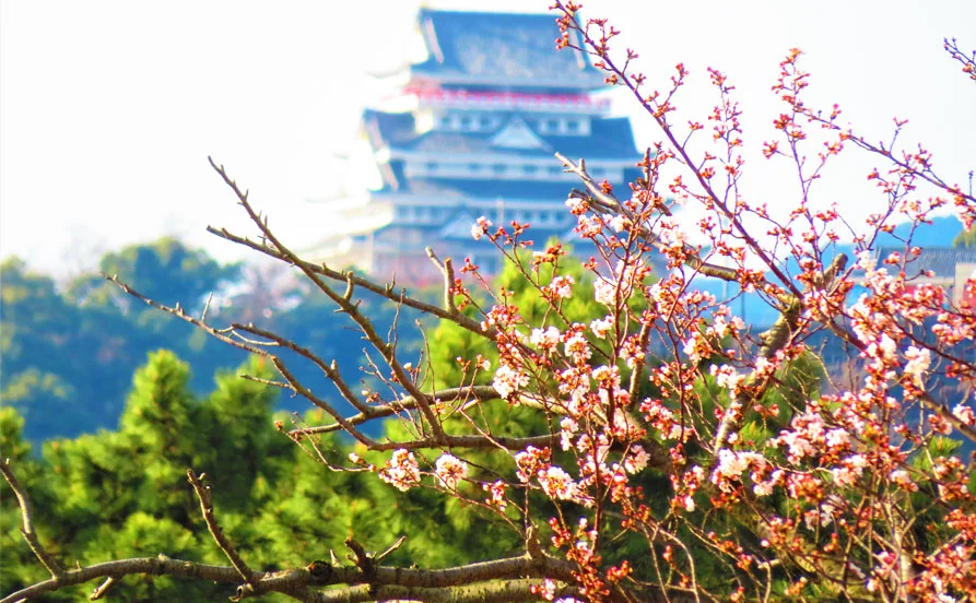 求人メイン
