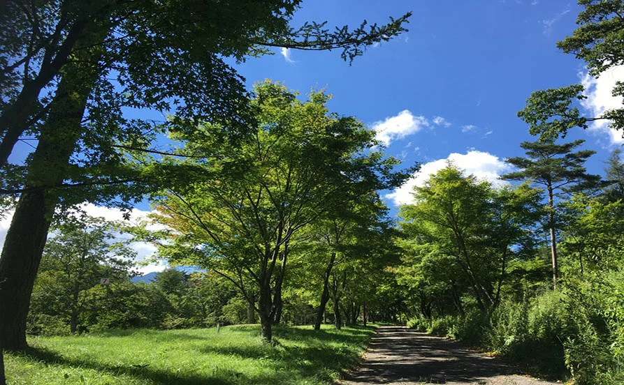 求人メイン