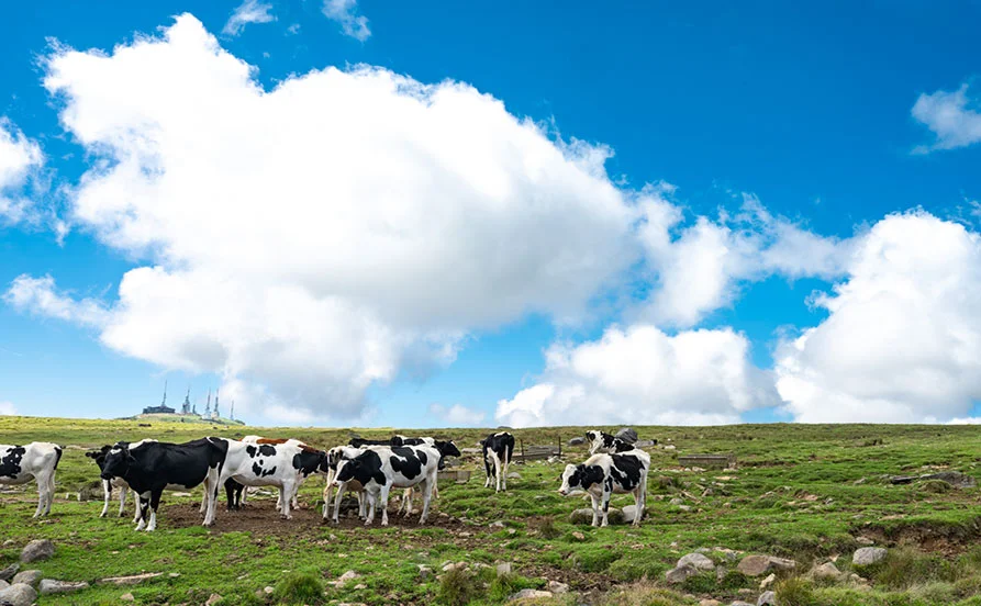求人メイン