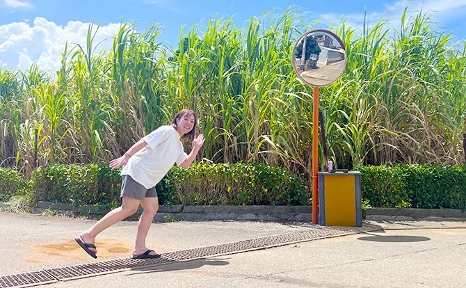 求人メイン