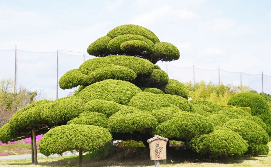 求人メイン