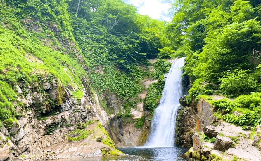 求人メイン
