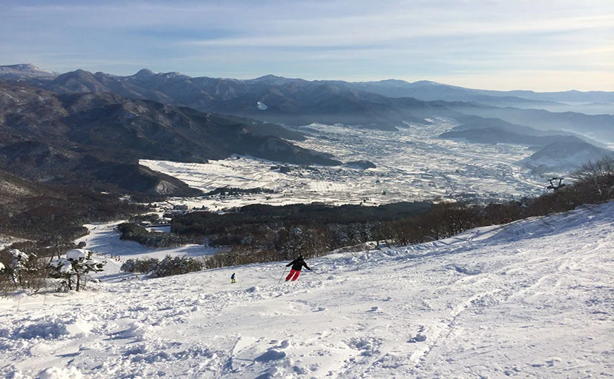求人メイン