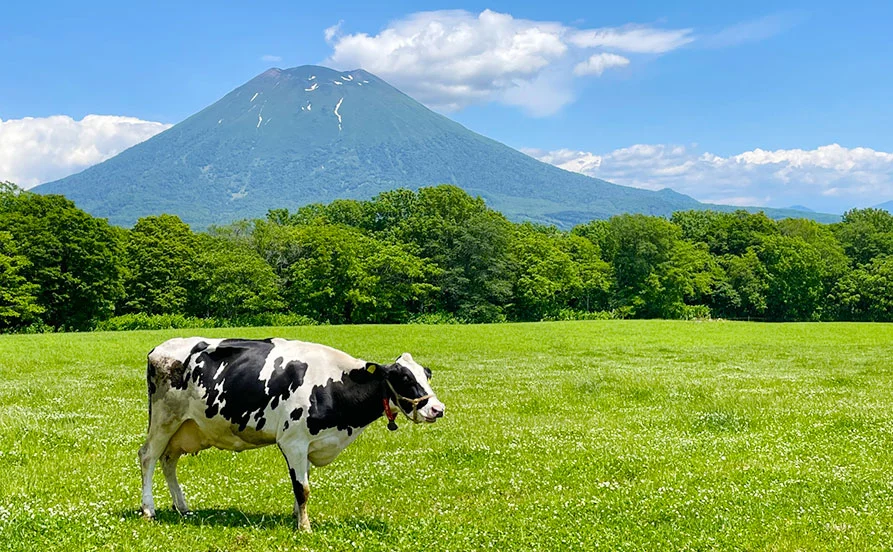 量環境画像（右下の画像）