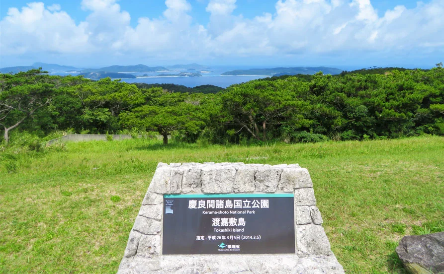 求人メイン