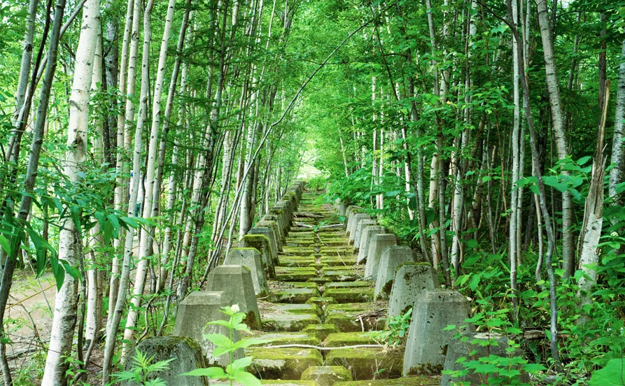 求人メイン