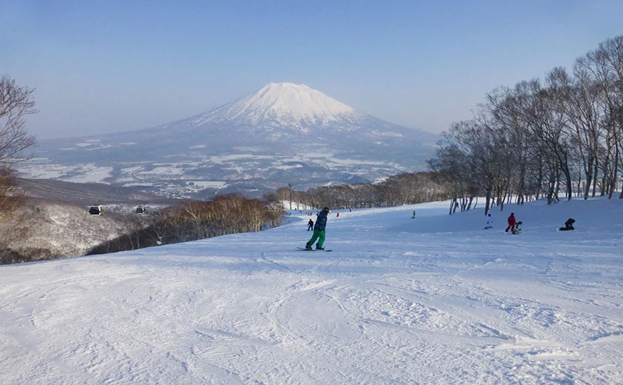 求人メイン