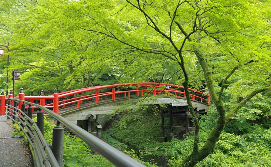 求人メイン