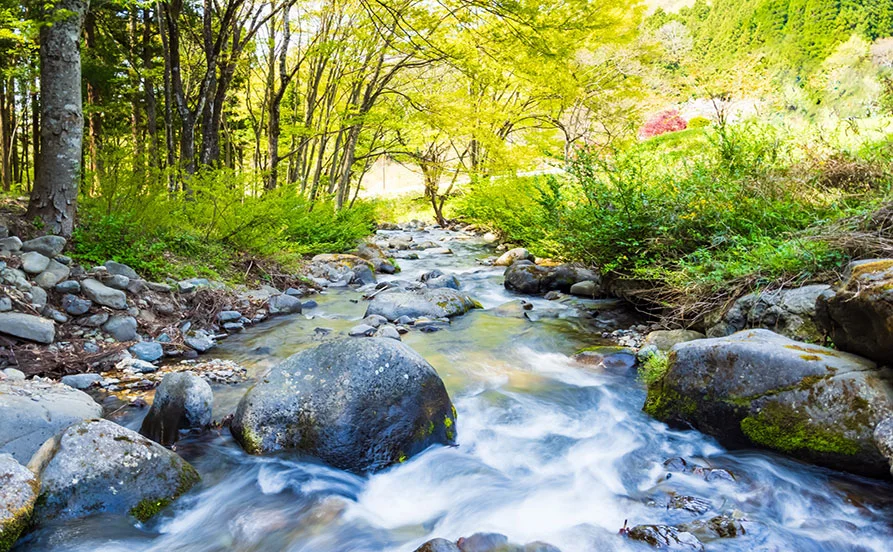 求人メイン