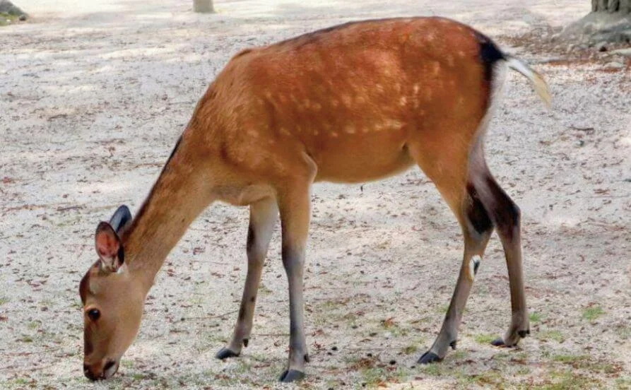 求人メイン
