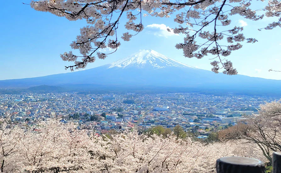 求人メイン