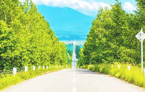 求人メイン