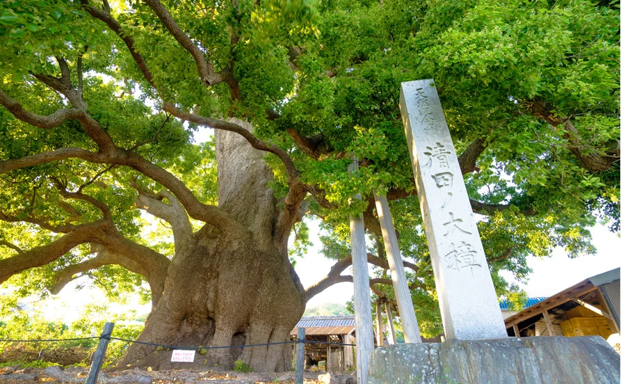 求人メイン