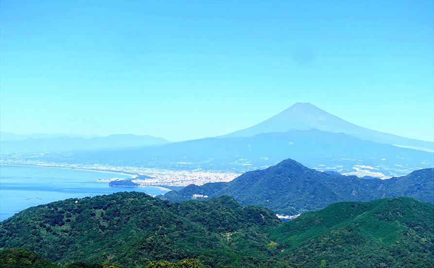 求人メイン
