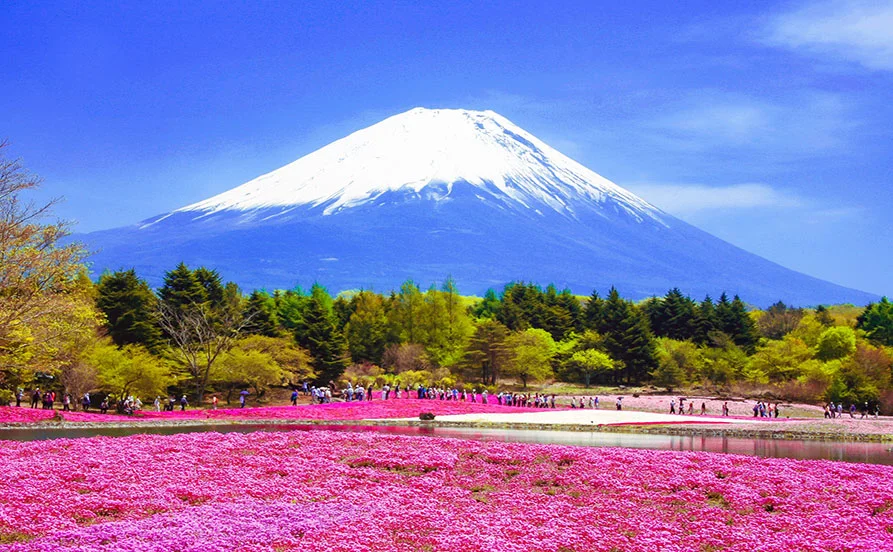 求人メイン