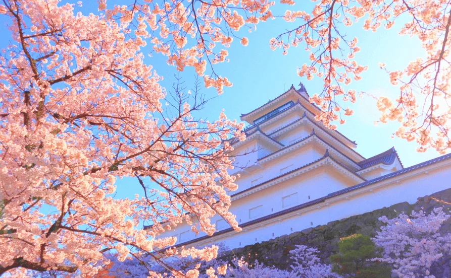 求人メイン