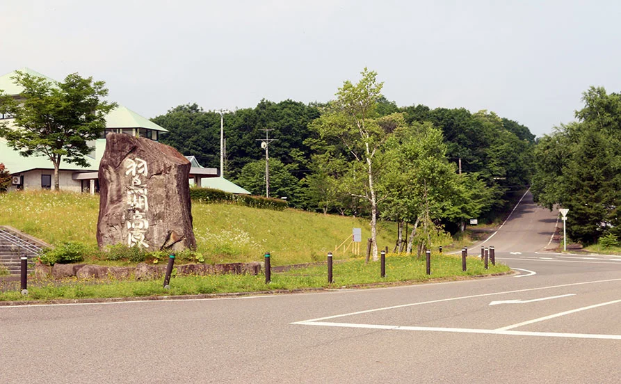 求人メイン