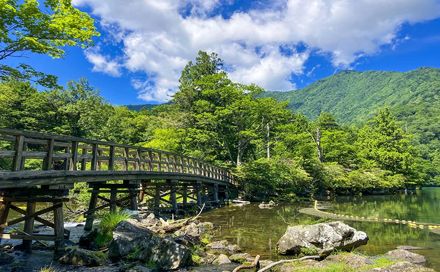 量環境画像（右下の画像）