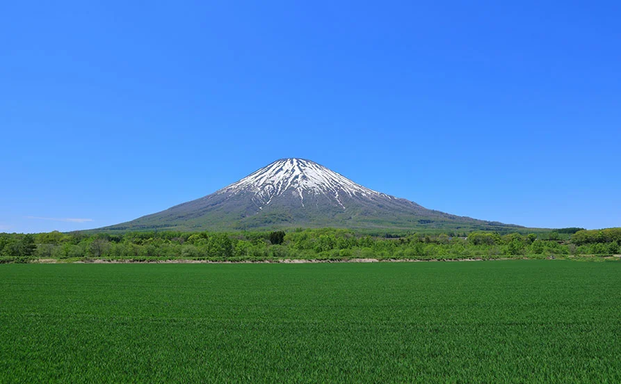 量環境画像（右下の画像）