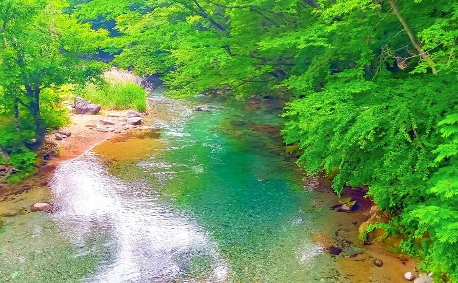 求人メイン
